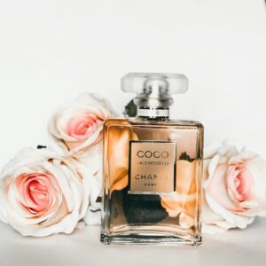 Midnight Jasmine Bloom